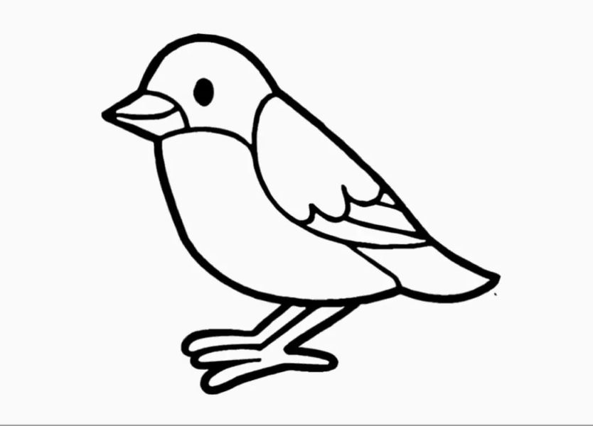 100 рисунков птиц