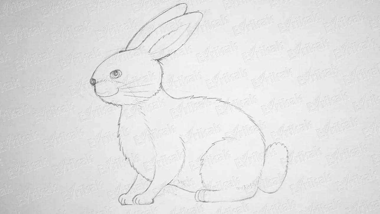 Детские рисунки зайца карандашом