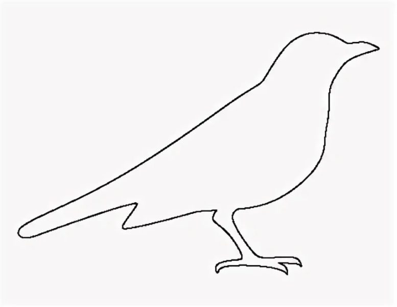60 трафаретов и шаблонов птиц для вырезания из бумаги