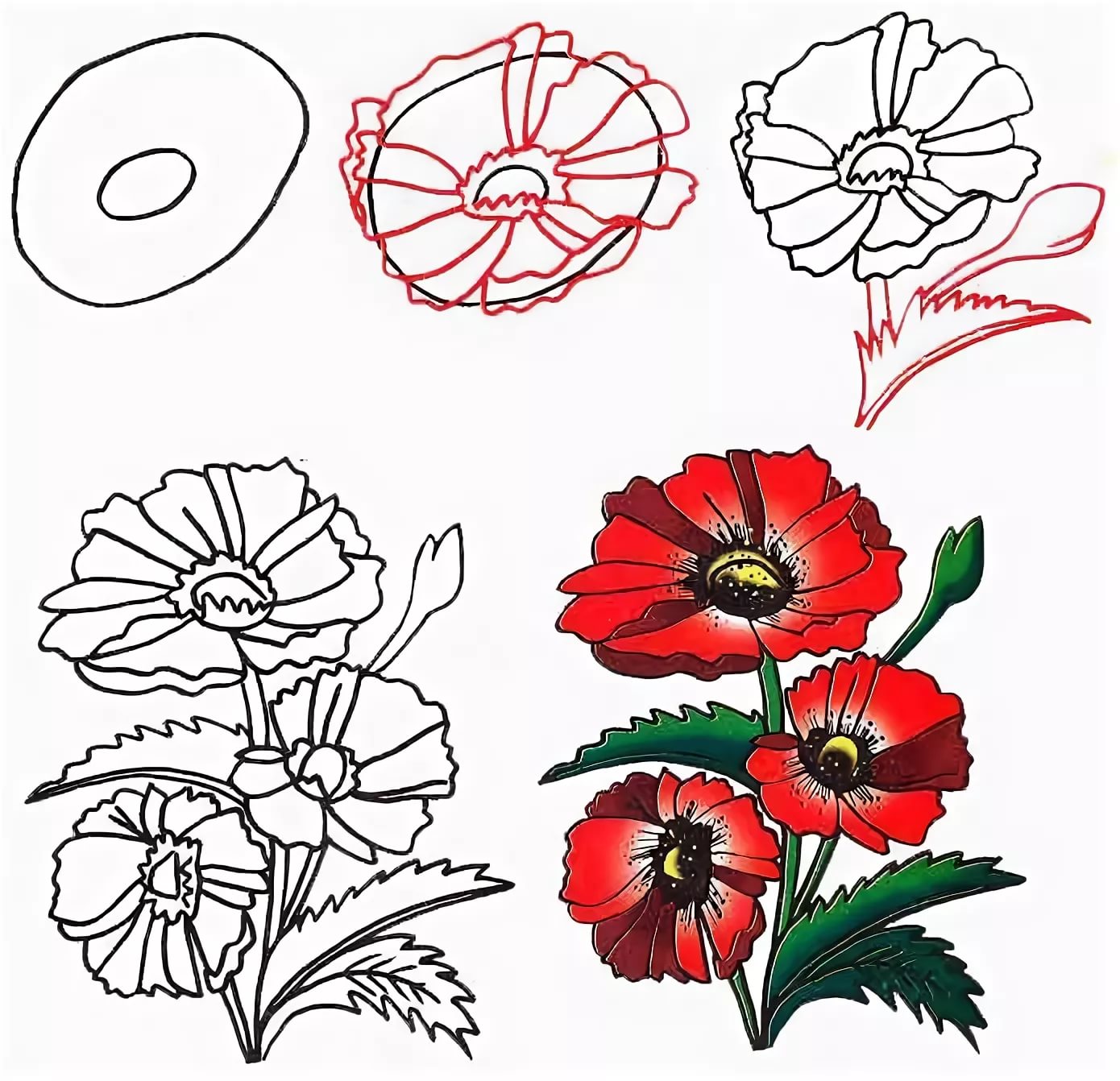 Поэтапное рисование цветы