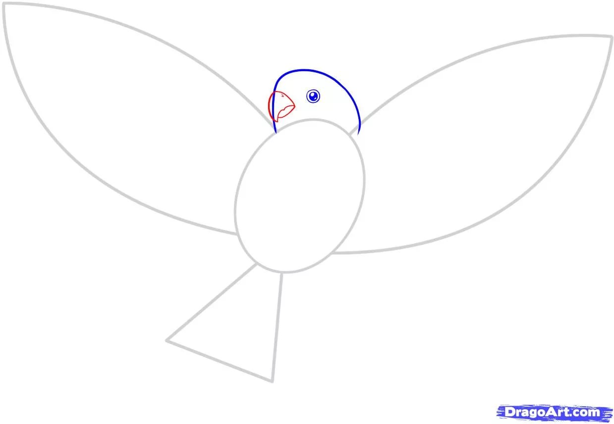 Голубь поэтапное рисование для детей