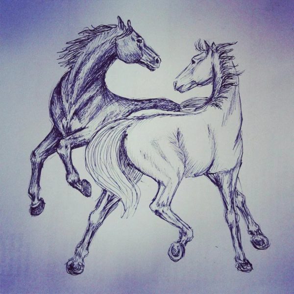 95 рисунков лошадей для детей и взрослых