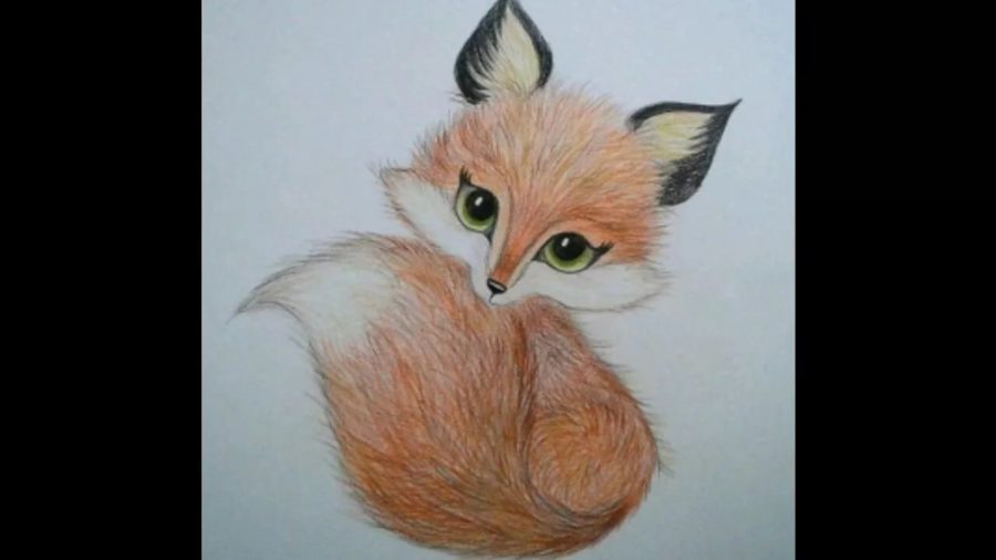 150 рисунков лисы для детей
