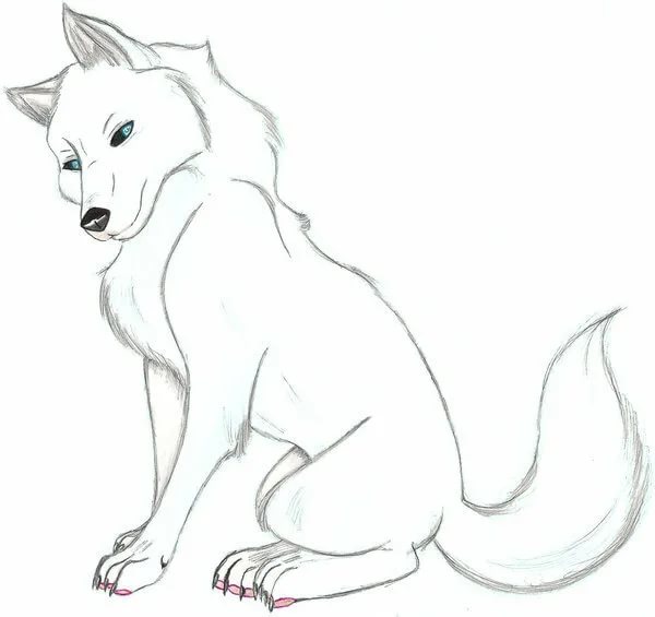 Как нарисовать волка: 120 рисунков