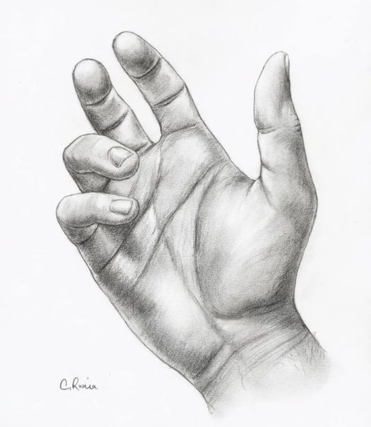50 рисунков рук человека: пальцы, ладони, кисти