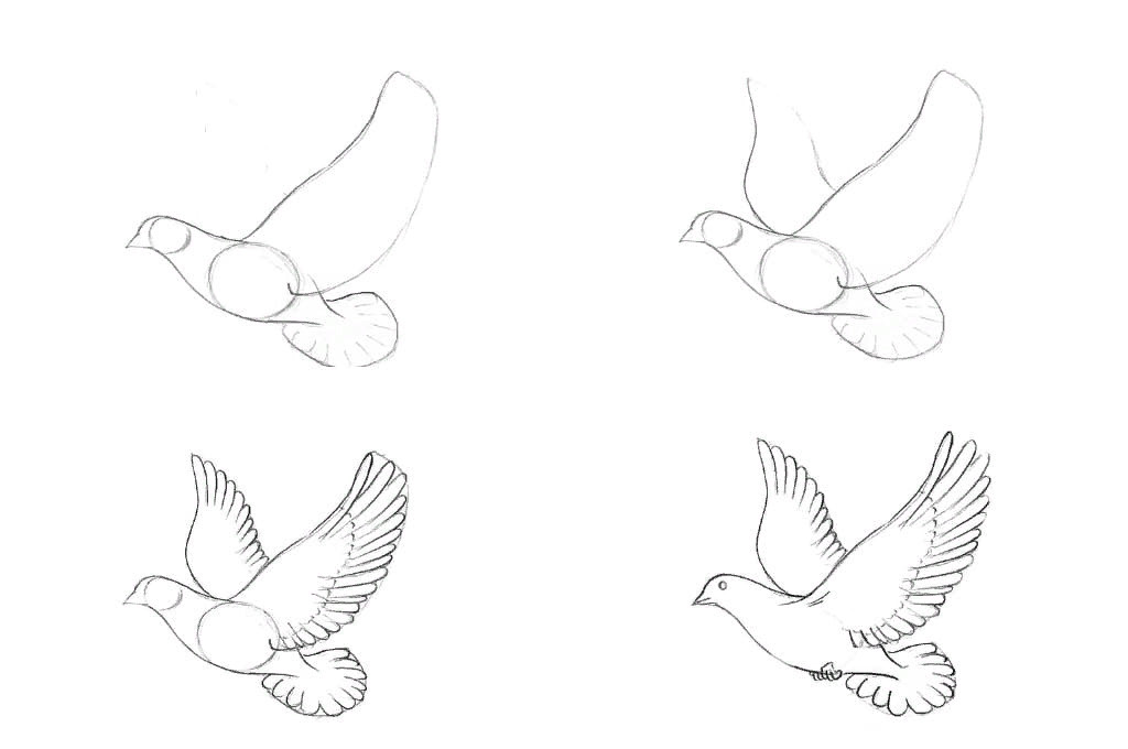 Рисунок птиц карандашом легкие. Голубь поэтапное рисование для детей. Птица рисунок. Рисуем голубя поэтапно. Голубь рисунок карандашом.