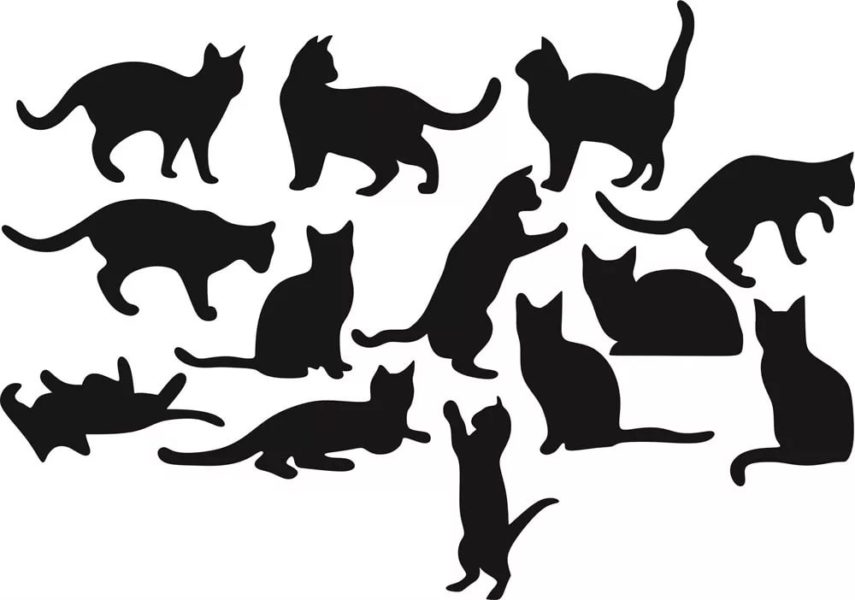 100 шаблонов и трафаретов кошек