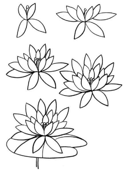 Как нарисовать цветок: 100 рисунков