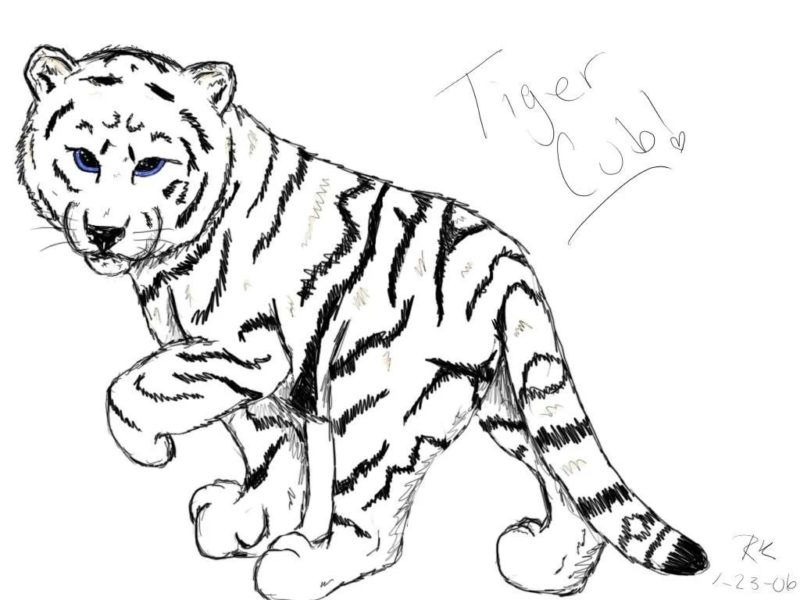 70 рисунков тигра на Новый Год 2022