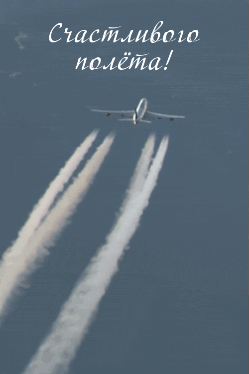 Хорошего полета и мягкой посадки: 70 картинок