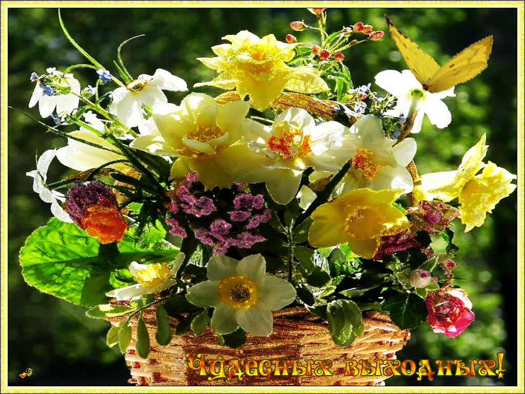 Хорошего настроения и удачного дня цветы. Солнечные цветы букет. Прекрасных весенних выходных. Цветы чудесного настроения. Красивого яркого дня картинки