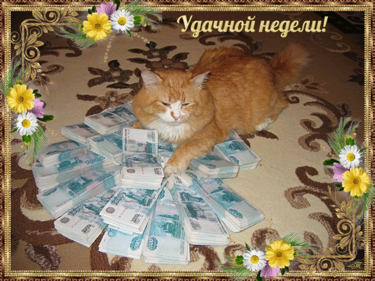 С началом работы картинки