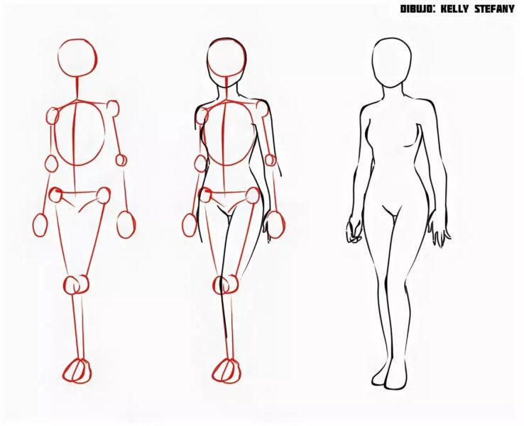 Как нарисовать тело: 60 рисунков