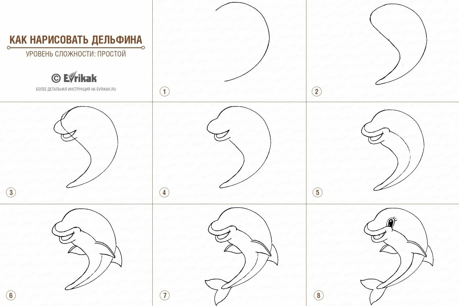 Легкие картинки для срисовки карандашом для начинающих поэтапно картинки легкие