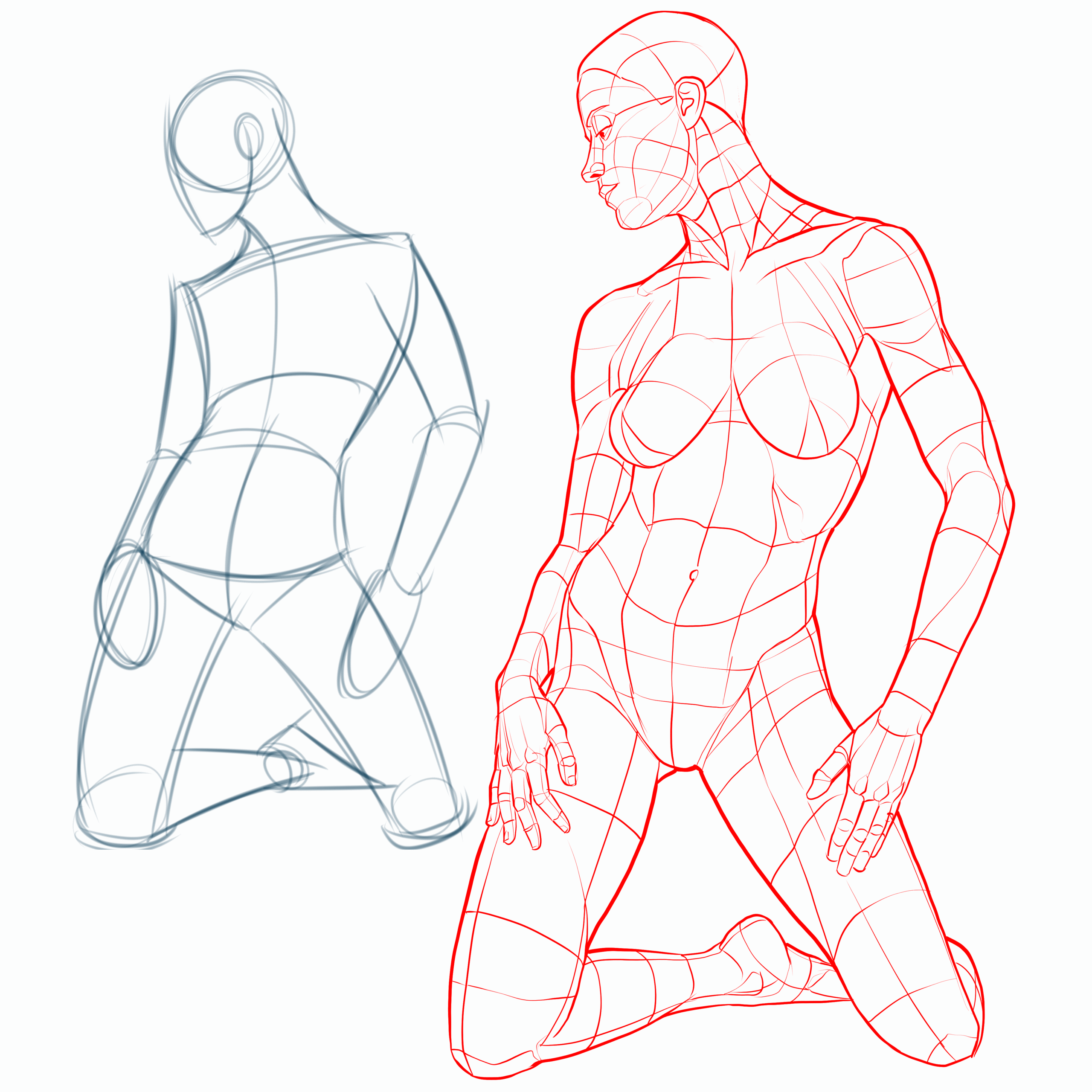Покажи рисунки тела человека. Анатомия для рисования. Тело человека для рисования. Анатомия тела для рисования. Скетчи тела.