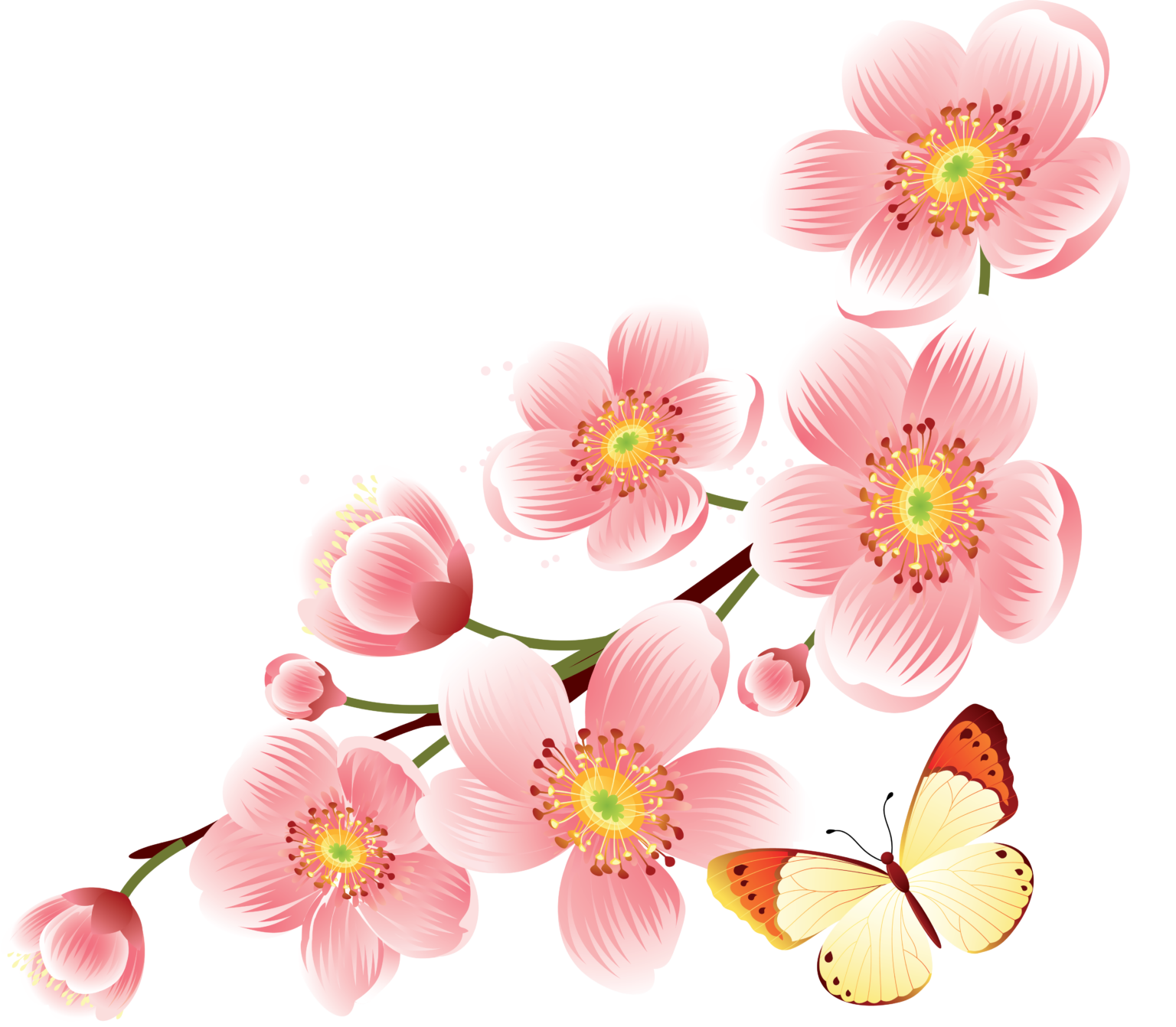 Картинка цветочки на прозрачном фоне
