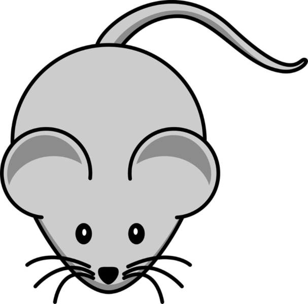 Как нарисовать мышку: 45 рисунков для детей
