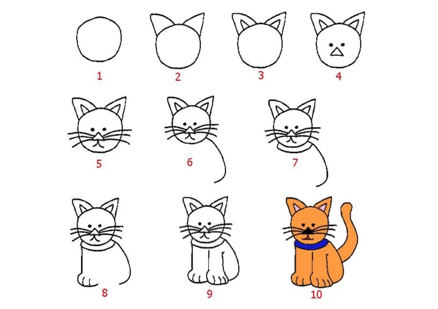 Этапы рисования кошки для детей