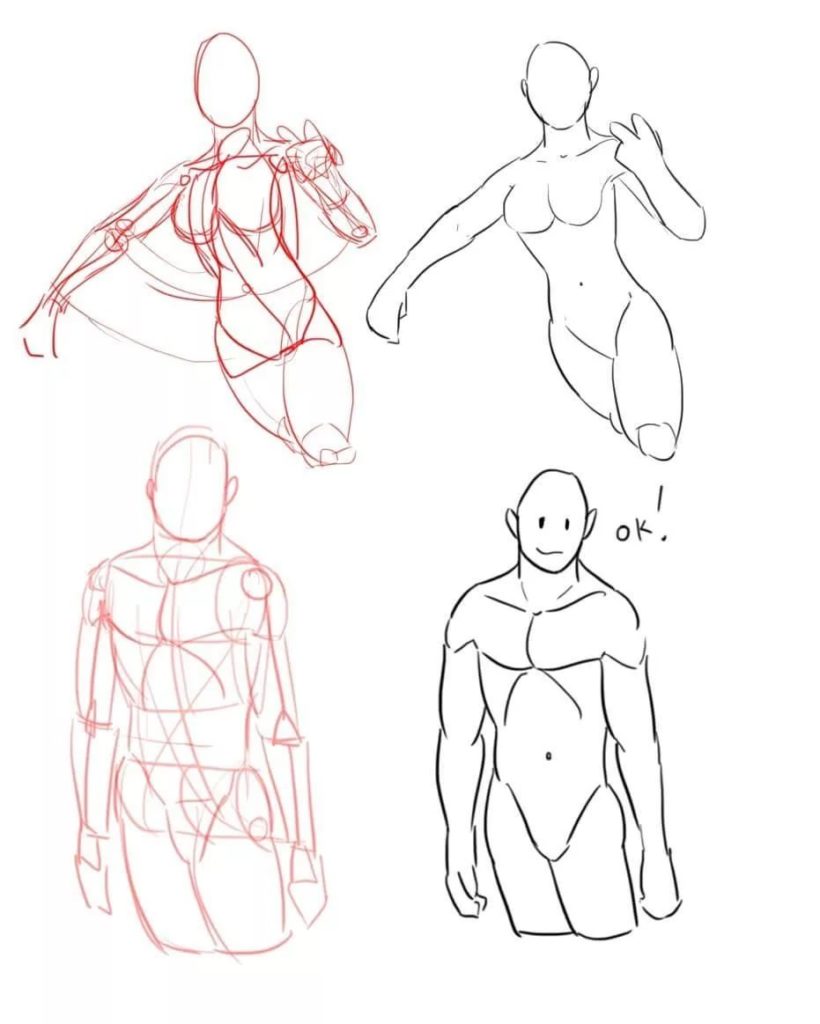 Анатомия по рисованию тела человека