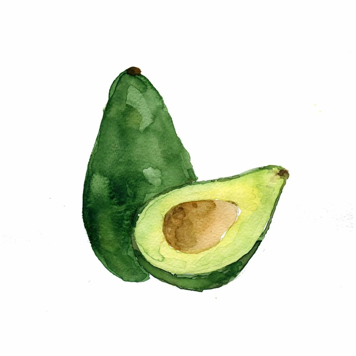 Авокадо для рисования