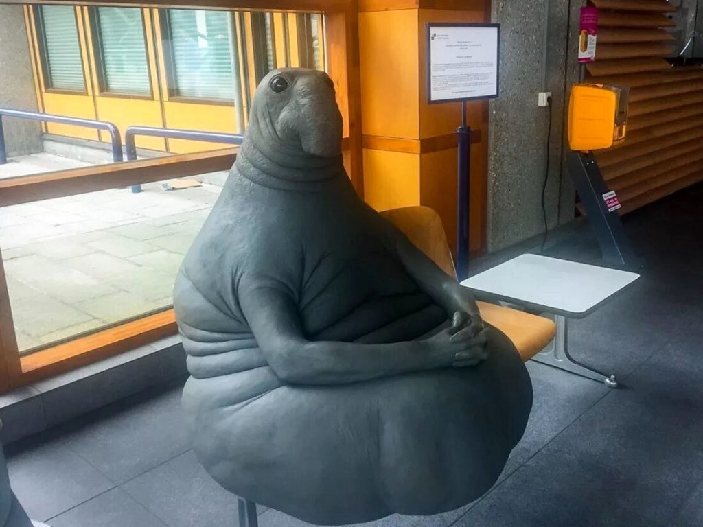 Забавный ждун: 118 фото известного интернет мема